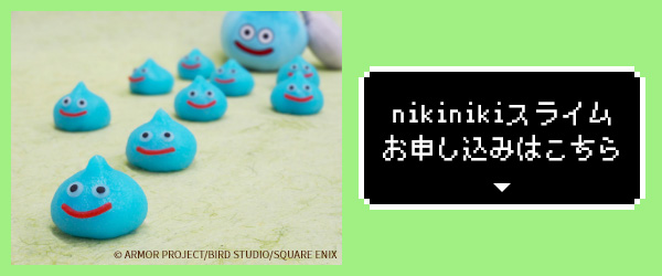 nikinikiスライム お申し込みはこちら